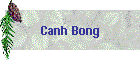 Canh Bong