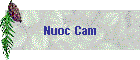 Nuoc Cam