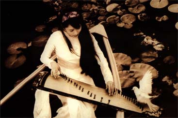 dantranh.jpg (23931 bytes)